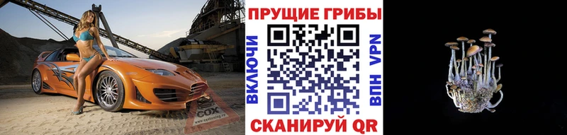 Купить закладки  Новое Девяткино  Псилоцибиновые грибы MAGIC MUSHROOMS 